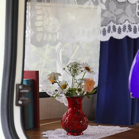 Oma Edda - Glamping In Kultigem Wohnwagen Auf Seeblick Kamp alanı Neustadt in Holstein